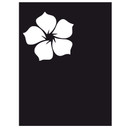 Sticker carrelage : Fleur de Jade