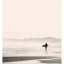 Papier peint photo - Sunset Surfing