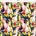 Fototapete Tropical Birds