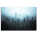 Canvasbillede, Skov i tåge