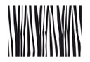 Dekoracja okienna zebra Próbki 2