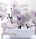 Fototapete, Lila Orchidee Blütenblättern
