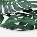 Wandcirkel Sisi & Seb - Monstera
