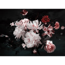 fototapet Designwalls i hvid og pink non-woven tapet BunchofFlower roser 