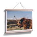 Plakat - Highland Cow 02