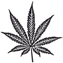 Sticker mural - Cannabis