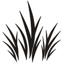 Sticker mural - Set Touffe d'Herbe