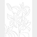 1X Studio - Line Art Floral - Minimalistyczna Fototapeta Kwiaty