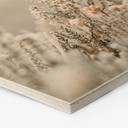 Hexagone - Bois Annie - Fleurs de glace
