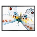 Plakat Kvilis - Butterfly 05