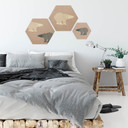 Hexagon hout ijsberen