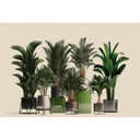 Fotomural Paredes de Patel 3 Plant Shop 1 verde, beige, gris, negro