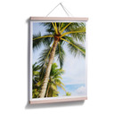 Plakat - Palms 07