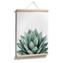 Plakat Sisi & Seb - Succulent