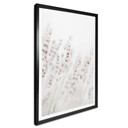 Plakat 1X Studio - Drobne trawy