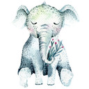 Sticker mural Kvilis - Bébé éléphant endormi