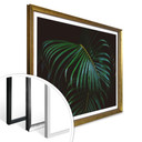 Plakat Botaniczny 04