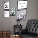 Plakat - Miejska dżungla - Calathea Orbifolia
