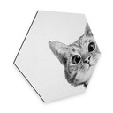 Hexagon - Alu-Dibond Graves - Sneaky Cat