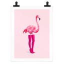 Plakat Flamingo różowy - Pozdniakov - Flaminciaga