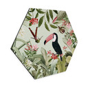 Hexagon Dibond Tukan i et jungleparadis - UN Designs