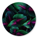 Glasbillede - Farverige jungleplanter - Paksoylu