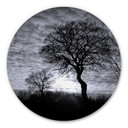 Wandcirkel Alu-Dibond Black and White Sunset