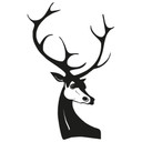 Wallsticker Hjort