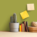 Pintura interior verde mate I Kitchy Kiwi | Crear armonía en la habitación | LA COCINA DE COLOR