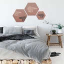 Hexagon - Alu-Dibond koper effect - Ijsberen