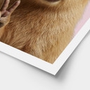 Poster animal Peace Capybara