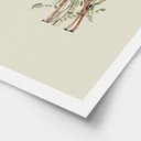 Plakat Kwiatowa Żyrafa - Frida Floral Studio