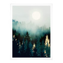 Plakat SpaceFrog Designs - Mglisty las