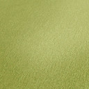A.S. Création Dream Flowery papier peint intissé uni