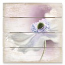 Obraz drewniany Disher - Anemone Breeze - 40x41,5 cm