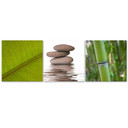 3-delt lærredsprint Nature Zen
