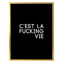 Plakat C'est la fucking vie
