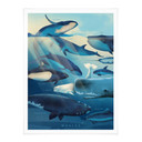 Plakat Brown - Wieloryby