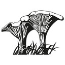 Wallsticker Kantareller