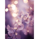 Delikatna orchidea w kolorze fioletowym | Fototapeta kwiatowa - Treechild