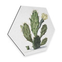 Hexagone - Alu-Dibond Saftleven - Cactus