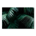 Tableau sur verre Botanique tropicale