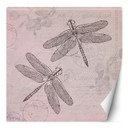 Fototapete, Shabby Chic Stil Libelle auf rosa Hintergrund - Andrea Haase