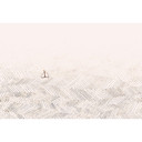 Architects Paper Papier peint photo Atelier 47 Waves Artwork vagues