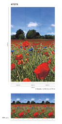 Fototapet med blomstereng og blå himmel Rød, Grøn, Blomstret 2,70 x 1,59 m
