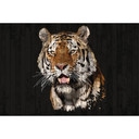 Architects Paper Papier peint photo Atelier 47 Polygon Tiger animal