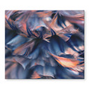 Dækplade til komfur - Plumage
