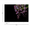 DarkFlowers1 blomstertapet sortlilla - non-woven tapet Designwalls 2 - 2,55 x 3,5 m