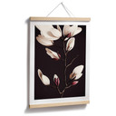 Szlachetny plakat z kwiatami magnolii - Plakat z kwiatami - Treechild