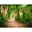 Vægmaleri Designwalls i grønt og brunt non-woven tapet Palm Walk regnskov natur